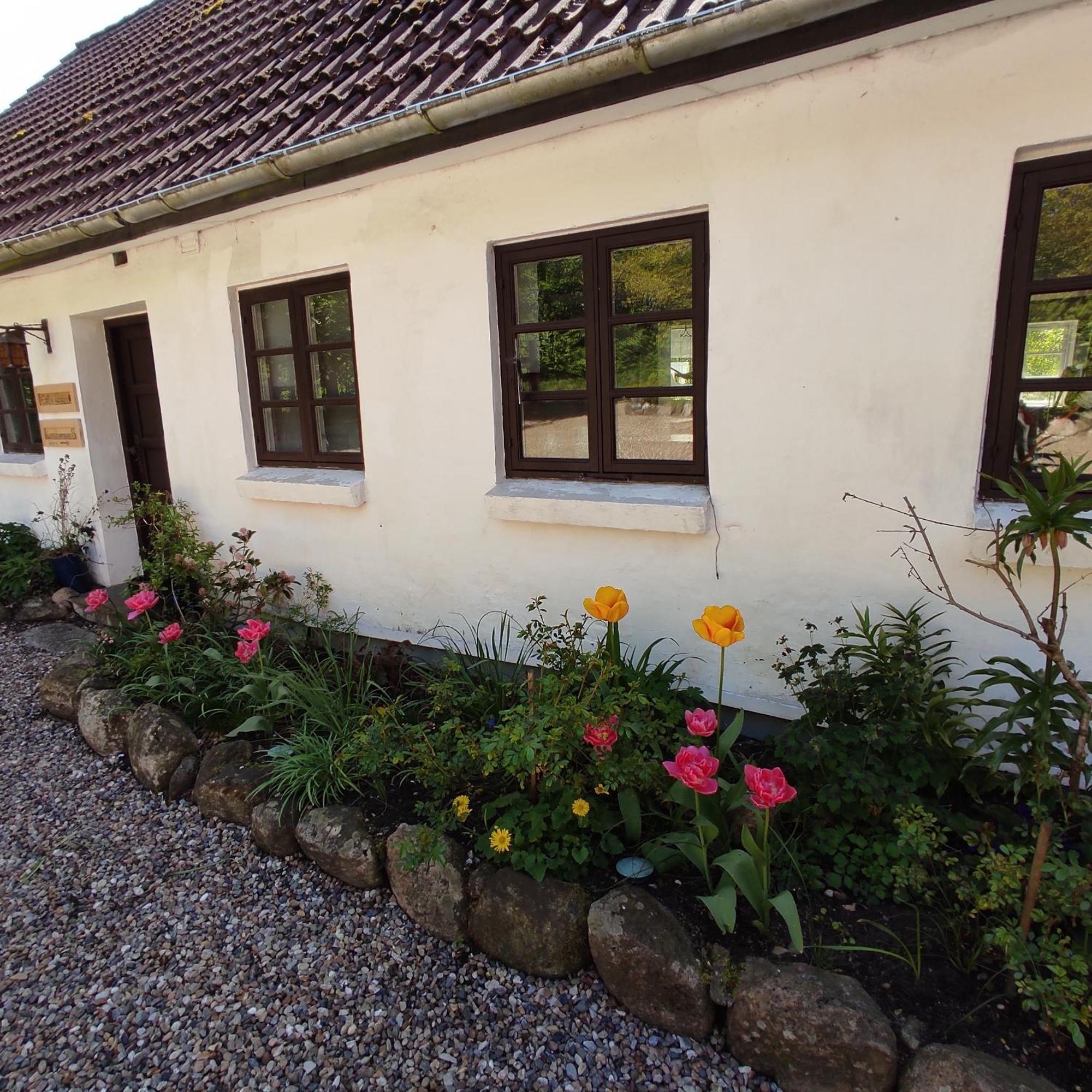 Bed and Breakfast Emily'S Garden Lintrup Экстерьер фото